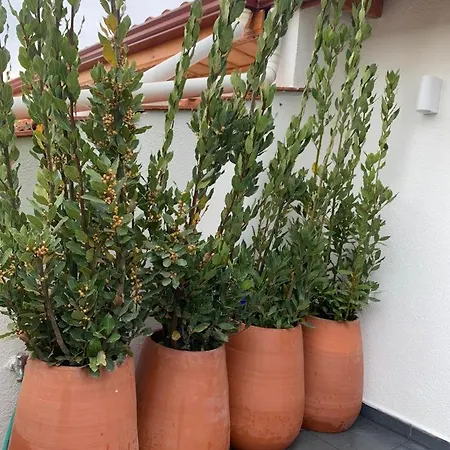 Cozy Akyaka شقة *