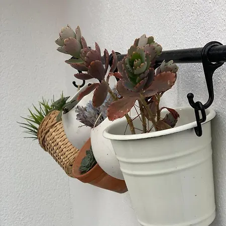 Apartment Cozy Akyaka *